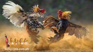 Ang Cock Fighting ay isang online na laro ng casino na nagpapahintulot sa mga manunugal na tumaya sa iba't ibang nakikipagkumpitensyang digital na tandang.